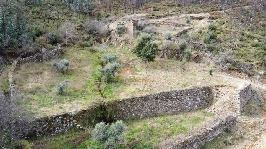 Terreno para Venda em Troviscal