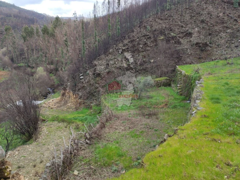 Terreno para Venda em Troviscal Foto 39