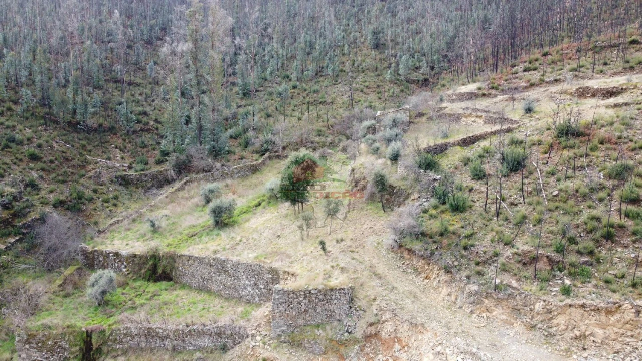 Terreno para Venda em Troviscal Foto 14
