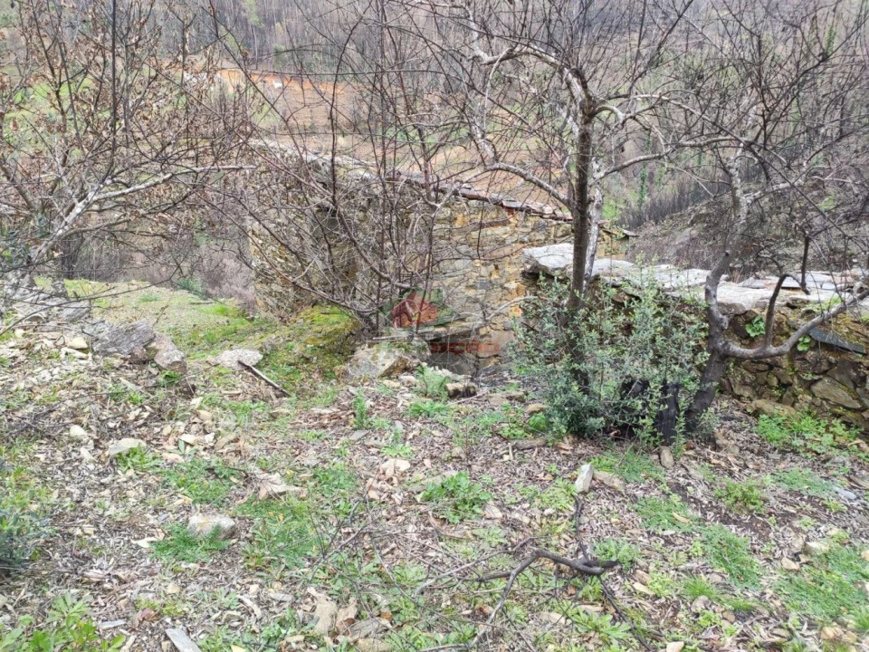 Terreno para Venda em Troviscal Foto 35