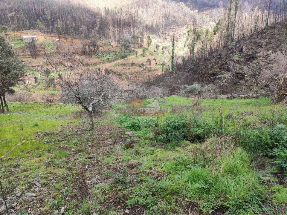 Terreno para Venda em Troviscal Foto 28