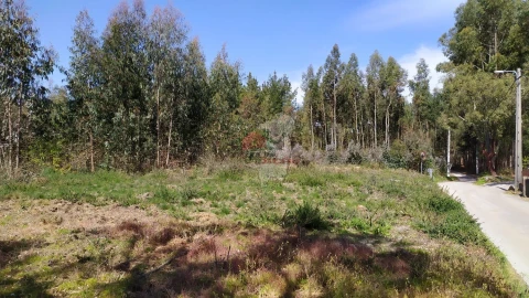 Terreno para Venda em Pedrogão Pequeno