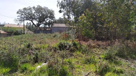 Terreno para Venda em Pedrogão Pequeno