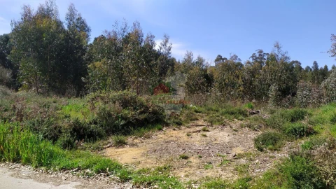 Terreno para Venda em Pedrogão Pequeno
