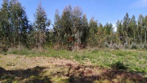 Terreno para Venda em Pedrogão Pequeno