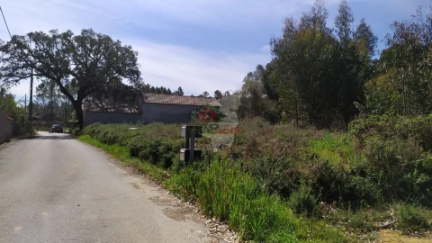 Terreno para Venda em Pedrogão Pequeno