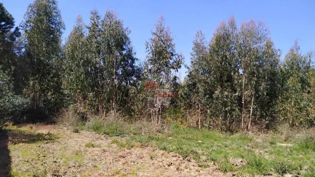 Terreno para Venda em Pedrogão Pequeno Foto 4