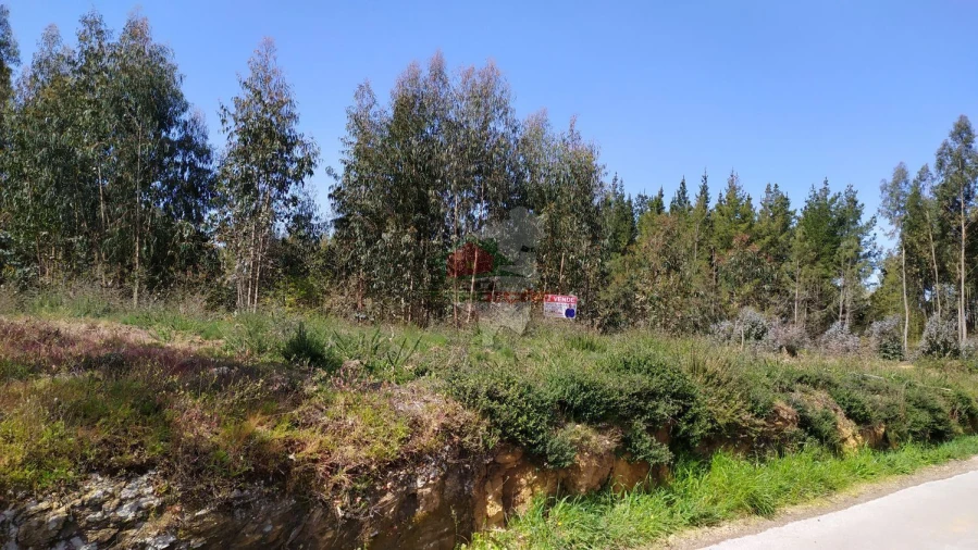 Terreno para Venda em Pedrogão Pequeno Foto 12