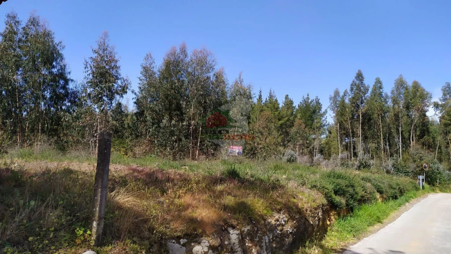 Terreno para Venda em Pedrogão Pequeno Foto 13