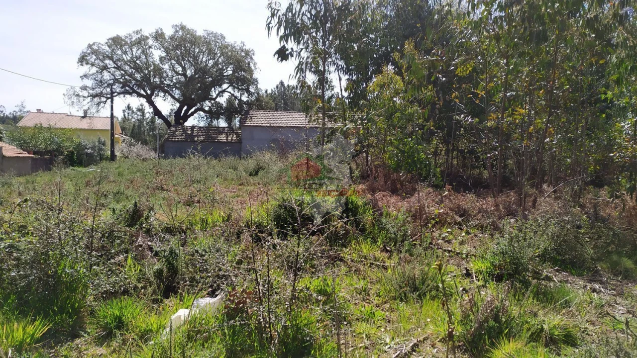 Terreno para Venda em Pedrogão Pequeno Foto 3