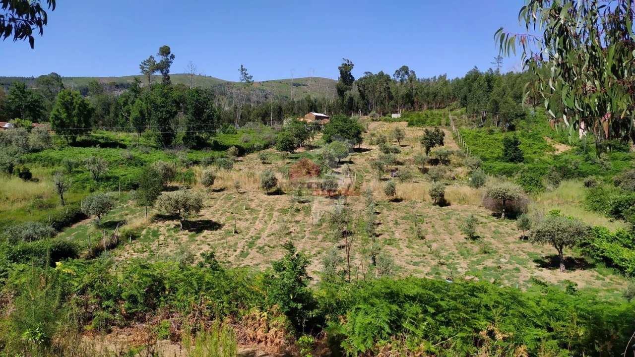 Terreno para Venda em Castanheira de Pêra e Coentral Foto 4