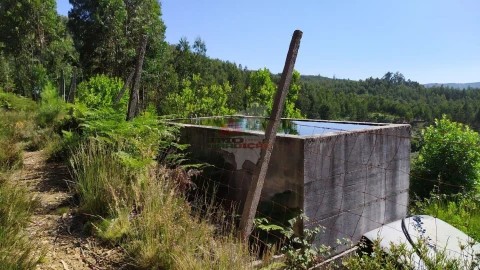 Terreno para Venda em Castanheira de Pêra e Coentral