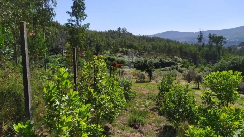 Terreno para Venda em Castanheira de Pêra e Coentral