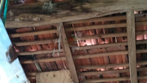 Terreno para Venda em Castanheira de Pêra e Coentral