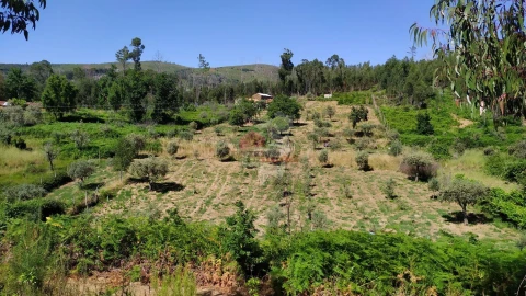 Terreno para Venda em Castanheira de Pêra e Coentral