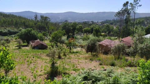 Terreno para Venda em Castanheira de Pêra e Coentral