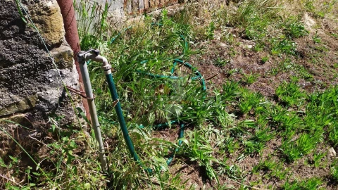 Terreno para Venda em Castanheira de Pêra e Coentral