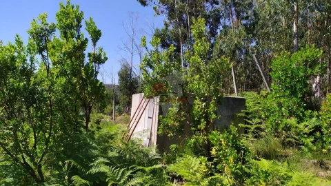 Terreno para Venda em Castanheira de Pêra e Coentral