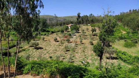 Terreno para Venda em Castanheira de Pêra e Coentral