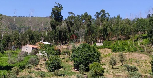 Terreno para Venda em Castanheira de Pêra e Coentral