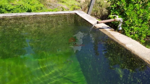 Terreno para Venda em Castanheira de Pêra e Coentral