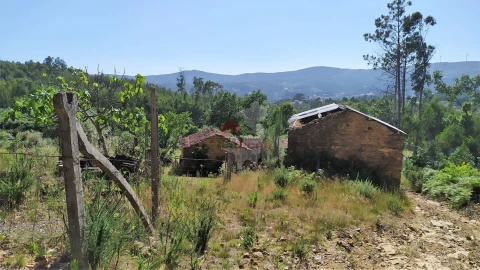 Terreno para Venda em Castanheira de Pêra e Coentral