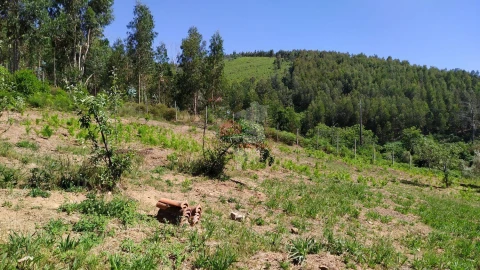 Terreno para Venda em Castanheira de Pêra e Coentral