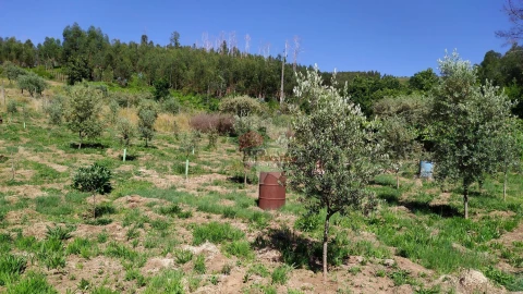 Terreno para Venda em Castanheira de Pêra e Coentral