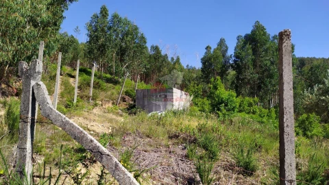 Terreno para Venda em Castanheira de Pêra e Coentral