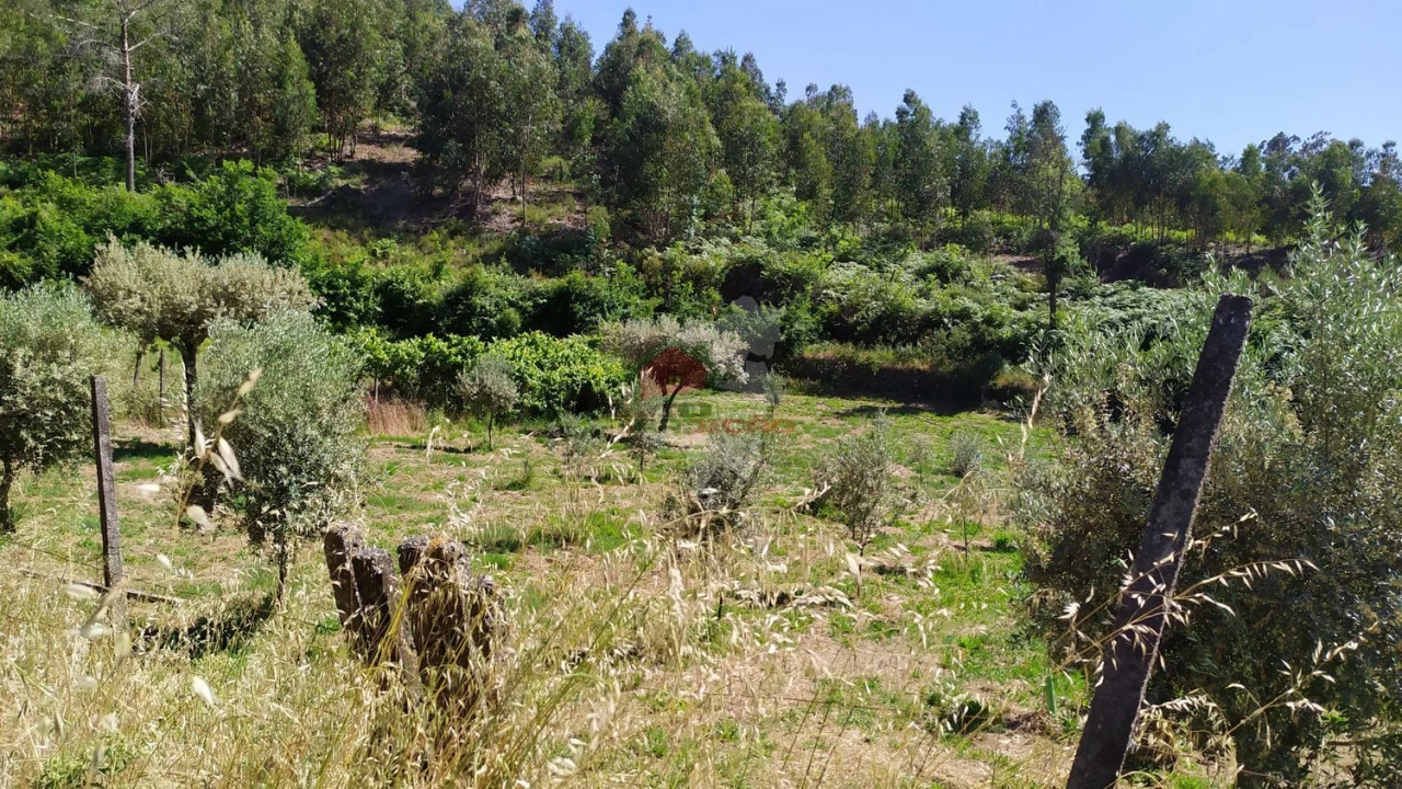 Terreno para Venda em Castanheira de Pêra e Coentral Foto 44
