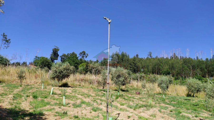 Terreno para Venda em Castanheira de Pêra e Coentral Foto 50