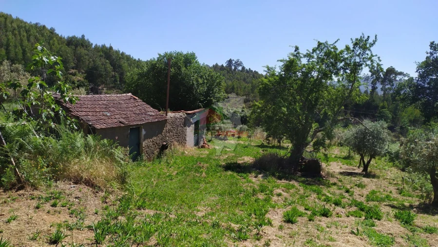 Terreno para Venda em Castanheira de Pêra e Coentral Foto 24