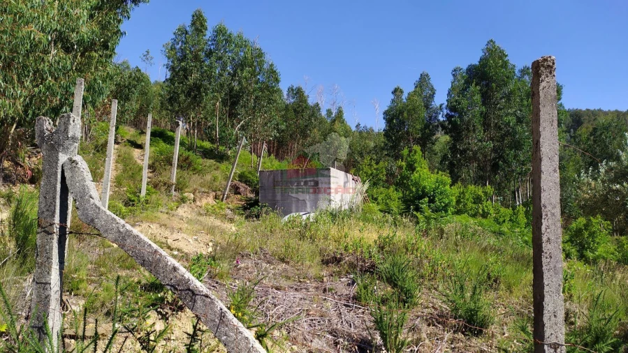 Terreno para Venda em Castanheira de Pêra e Coentral Foto 33