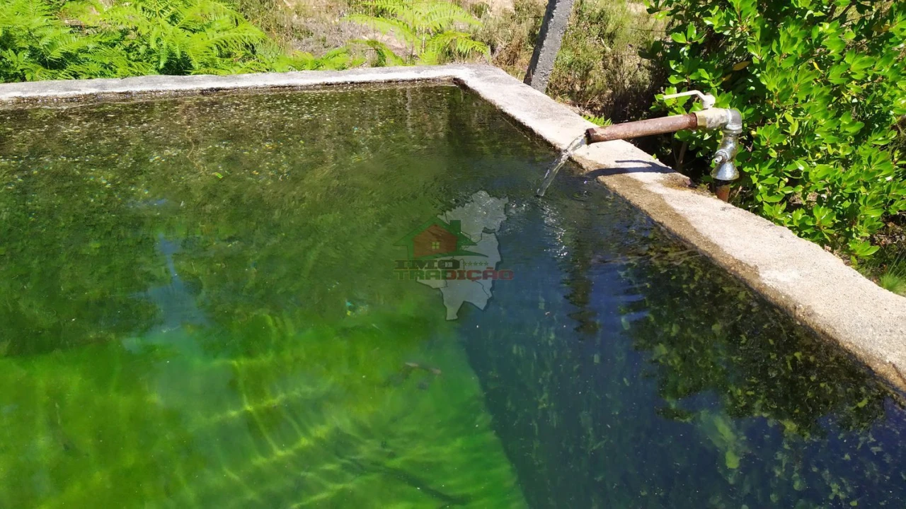 Terreno para Venda em Castanheira de Pêra e Coentral Foto 37
