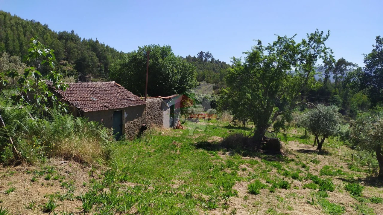 Terreno para Venda em Castanheira de Pêra e Coentral Foto 24