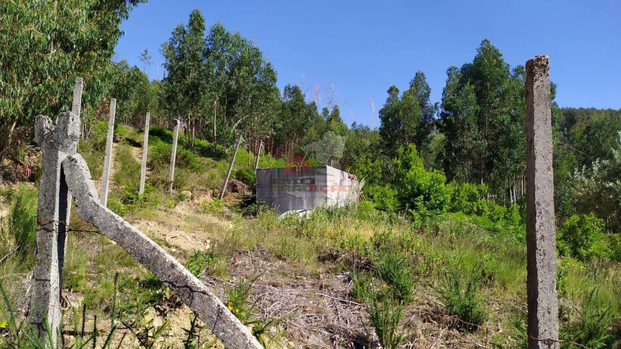 Terreno para Venda em Castanheira de Pêra e Coentral Foto 33
