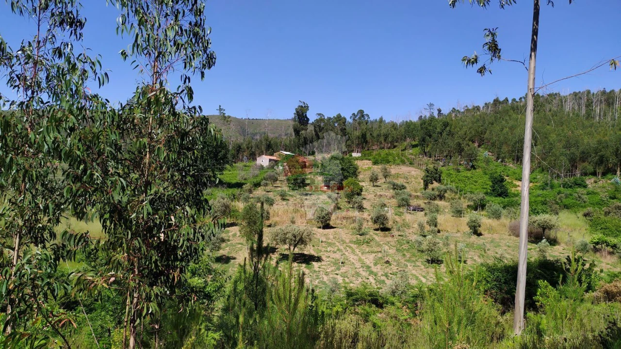 Terreno para Venda em Castanheira de Pêra e Coentral Foto 5