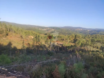 Terreno para Venda em Sertã