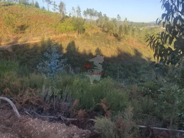 Terreno para Venda em Sertã