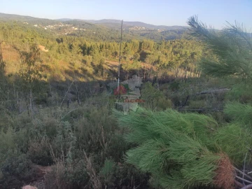 Terreno para Venda em Sertã