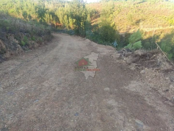 Terreno para Venda em Sertã