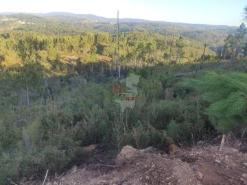 Terreno para Venda em Sertã