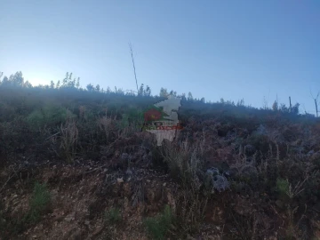 Terreno para Venda em Sertã