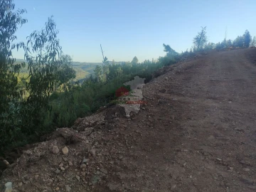 Terreno para Venda em Sertã