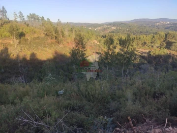 Terreno para Venda em Sertã