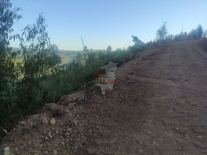 Terreno para Venda em Sertã Foto 13