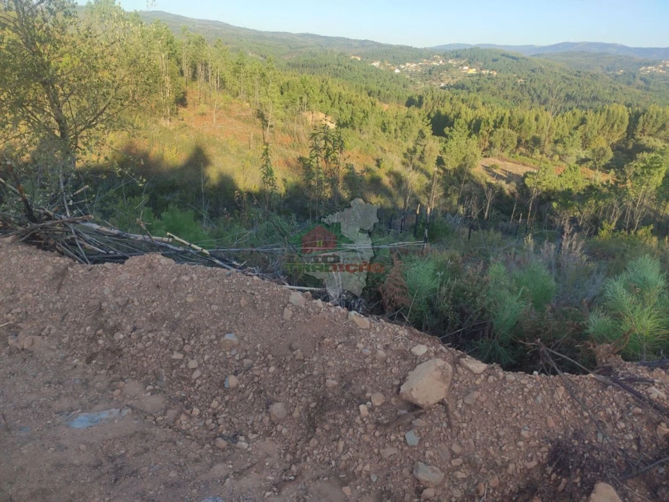 Terreno para Venda em Sertã Foto 3