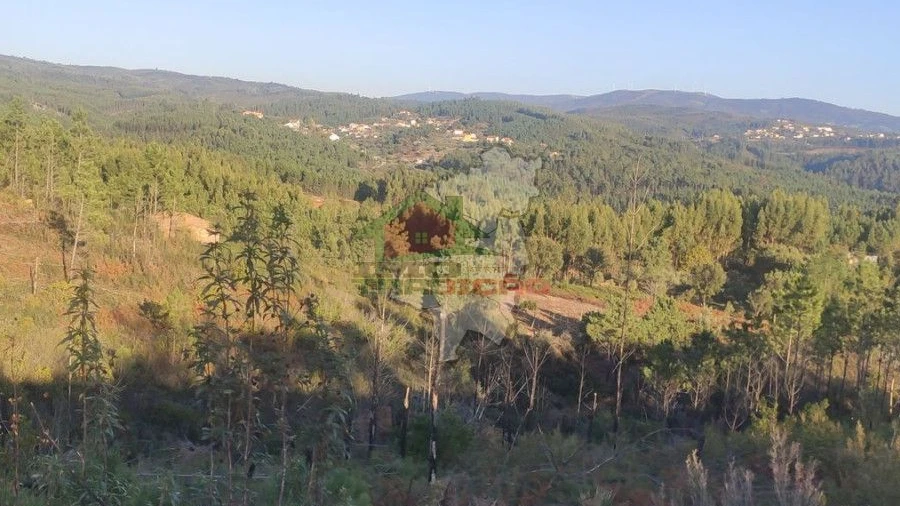 Terreno para Venda em Sertã