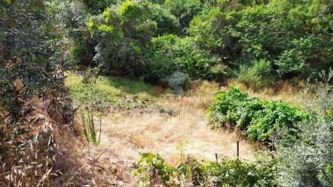 Moradia T2 para Venda em Portela do Fojo-Machio