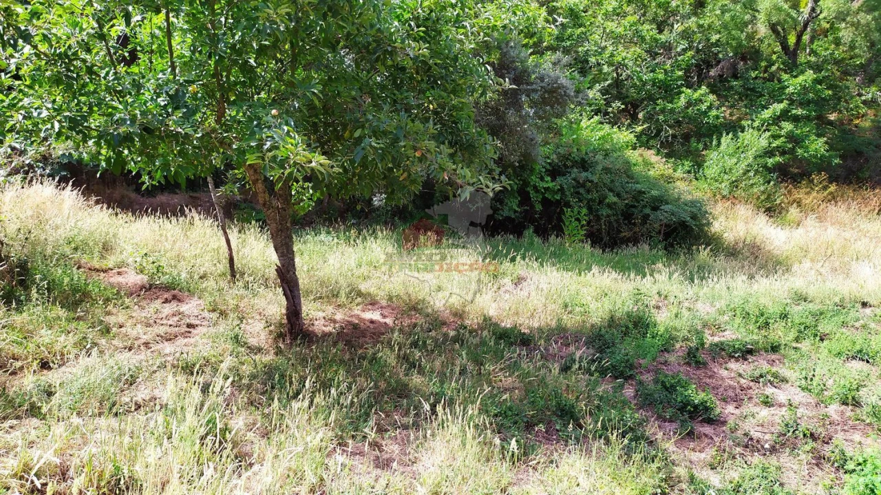 Moradia T2 para Venda em Portela do Fojo-Machio Foto 38